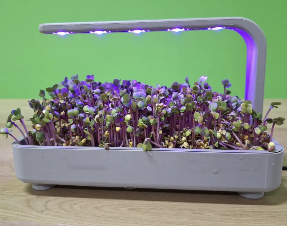 obrázok produktu EcoPlant